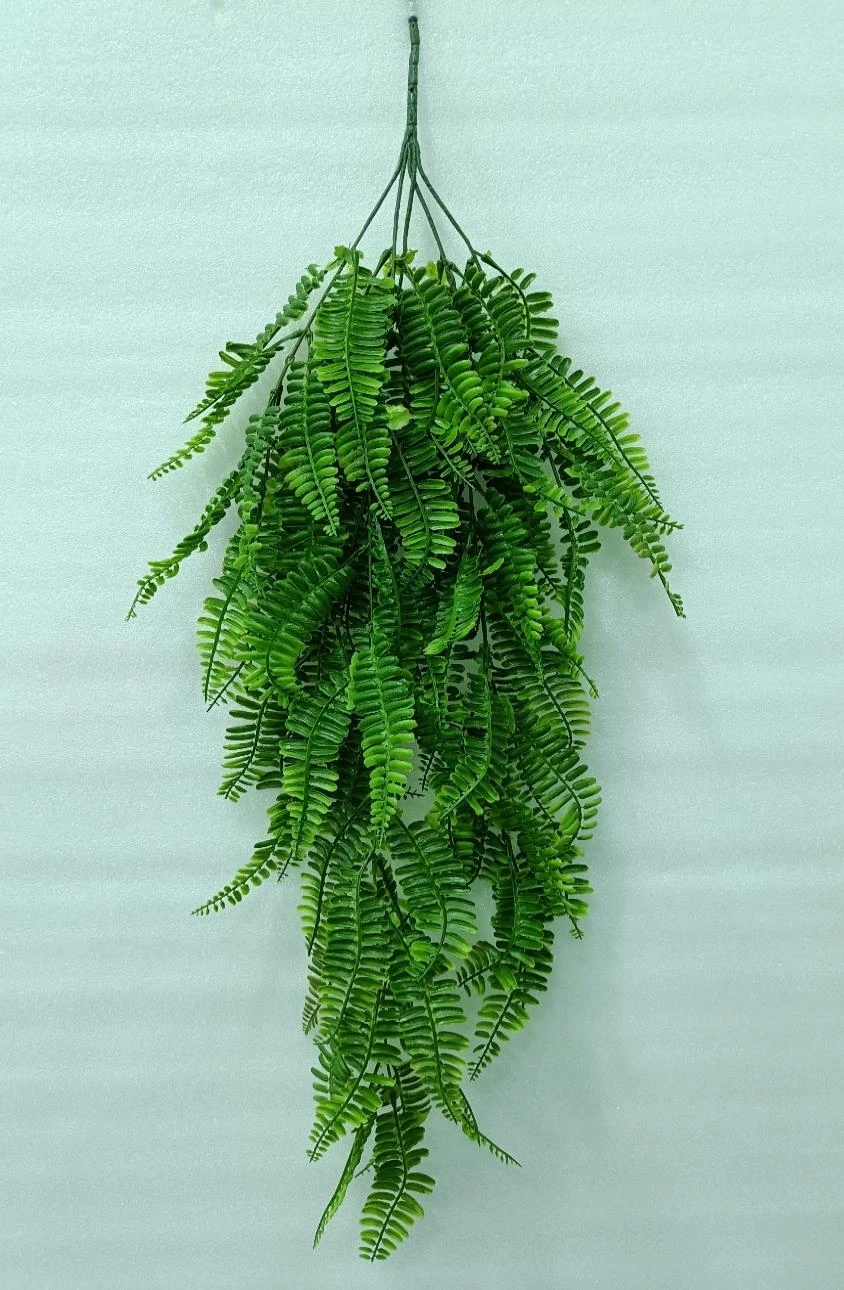 Fern Leaves Creeper x 94